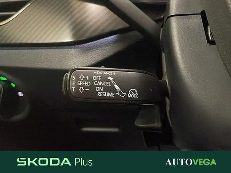 Skoda Kamiq usata a Vicenza (17)