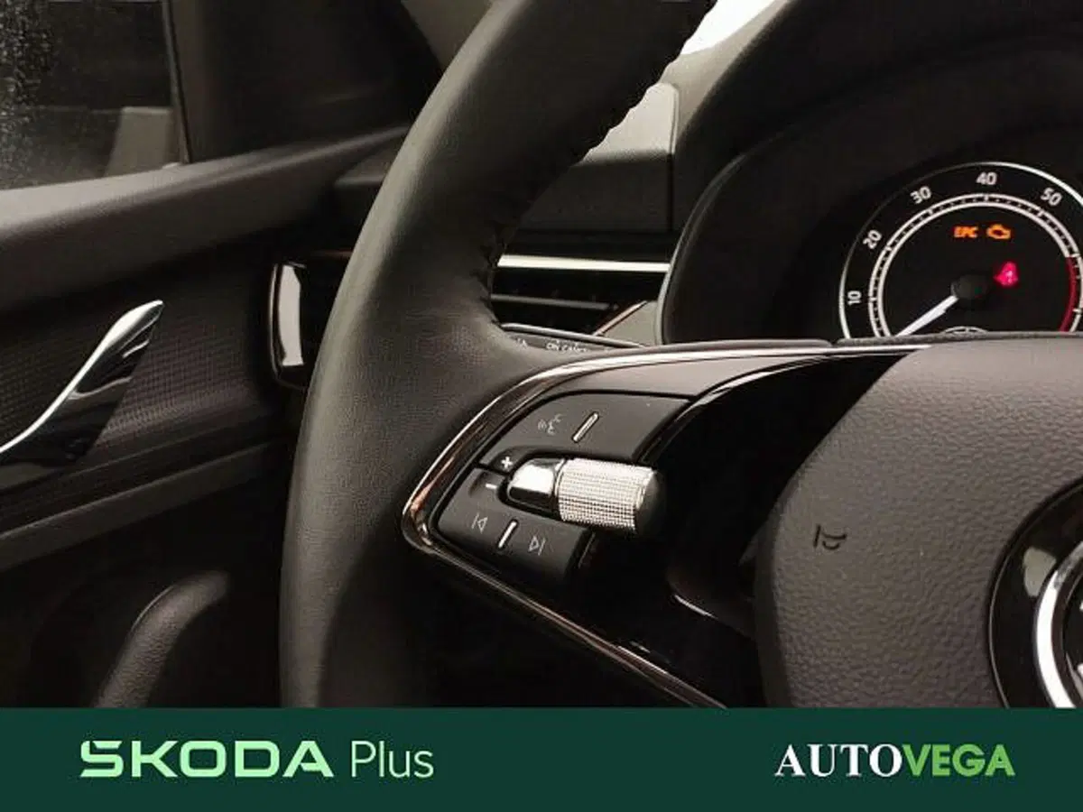 Skoda Kamiq usata a Vicenza (16)