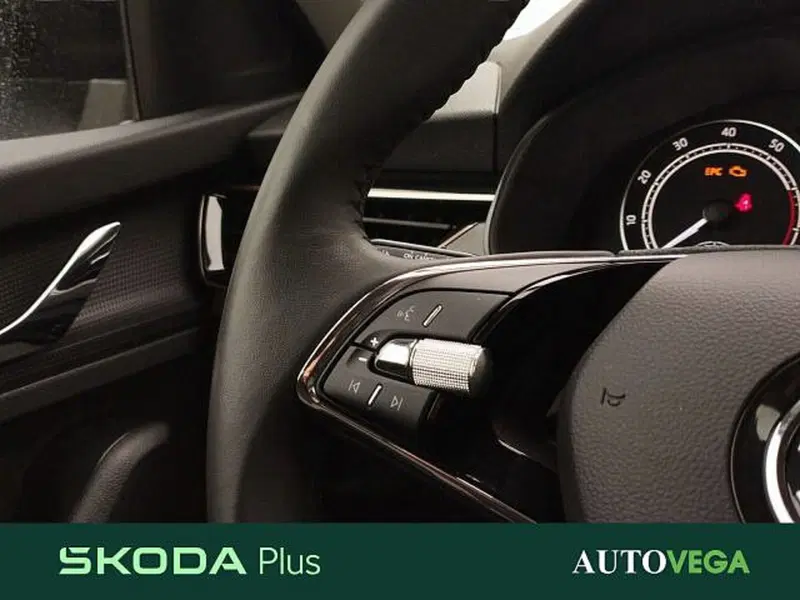 Skoda Kamiq usata a Vicenza (16)