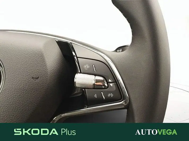 Skoda Kamiq usata a Vicenza (17)