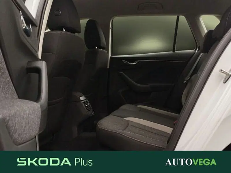 Skoda Kamiq usata a Vicenza (20)
