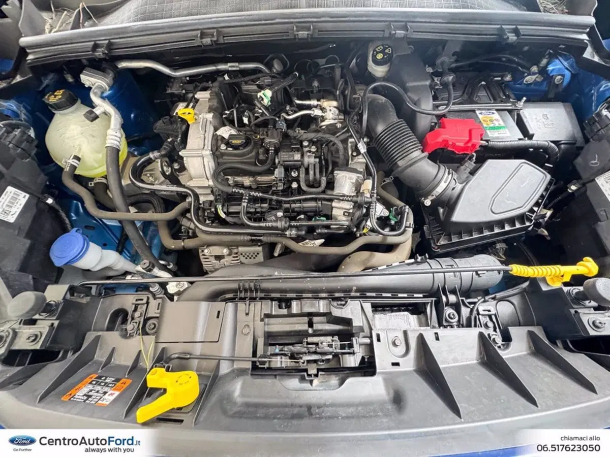 Ford Puma usata a Roma (12)