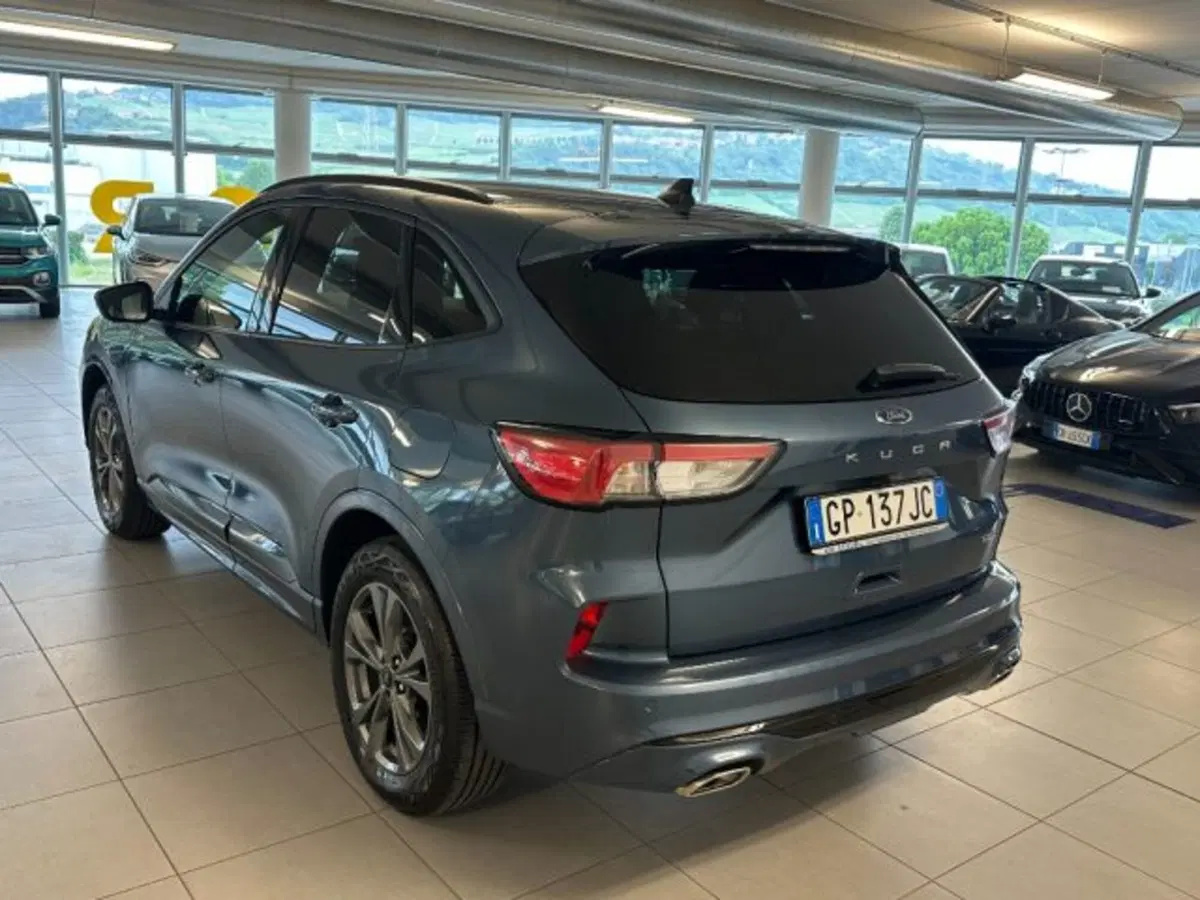 Ford Kuga usata a Cuneo (5)