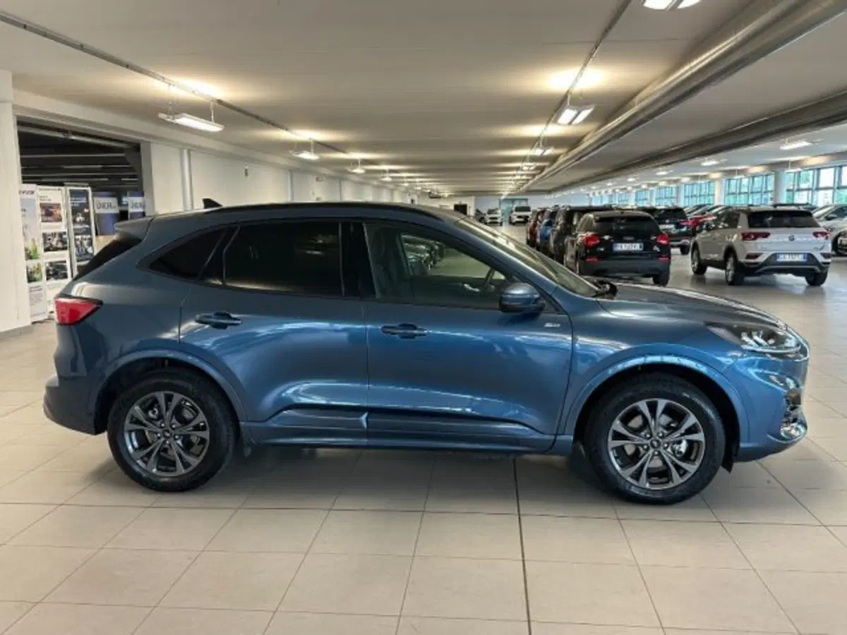 Ford Kuga usata a Cuneo (8)