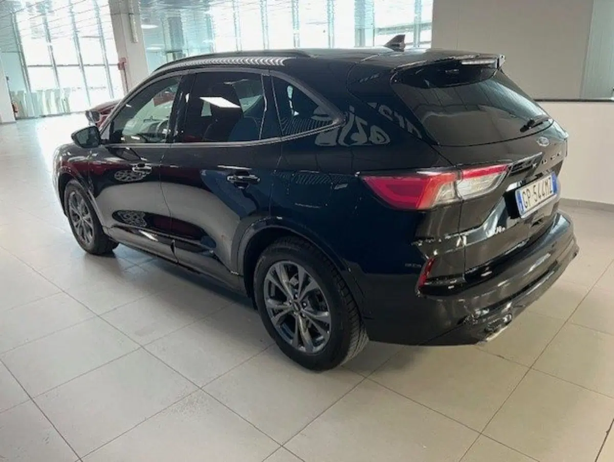 Ford Kuga usata a Cuneo (6)