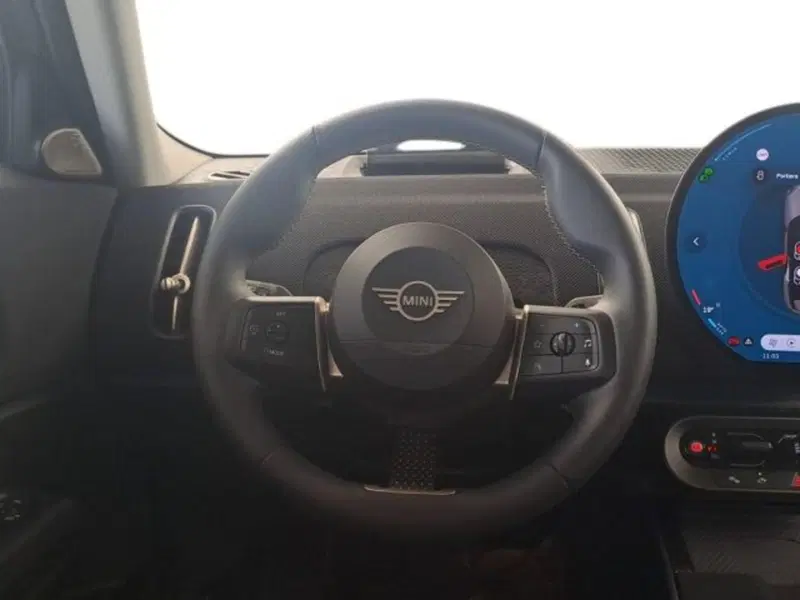 MINI Mini Countryman usata a Verona (10)