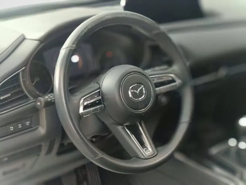 Mazda CX-30 usata a Teramo (17)