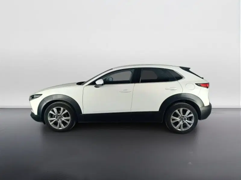 Mazda CX-30 usata a Teramo (6)