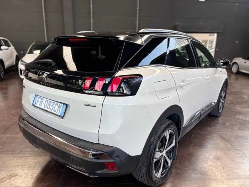 Peugeot 3008 usata a Pesaro-Urbino (10)