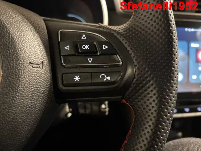 Mg ZS usata a Bologna (19)