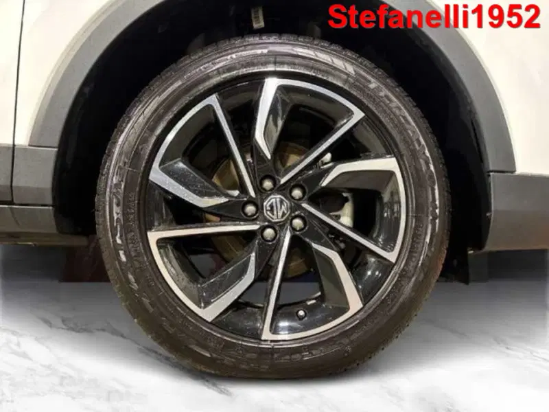 Mg ZS usata a Bologna (8)