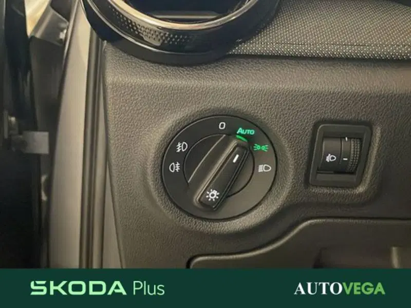 Skoda Fabia usata a Vicenza (16)
