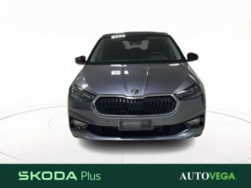 Skoda Fabia usata a Vicenza (2)