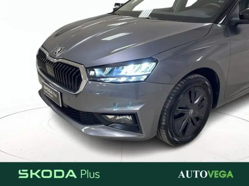 Skoda Fabia usata a Vicenza (20)