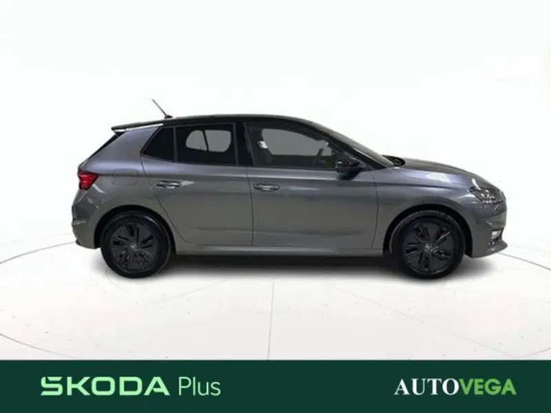 Skoda Fabia usata a Vicenza (3)