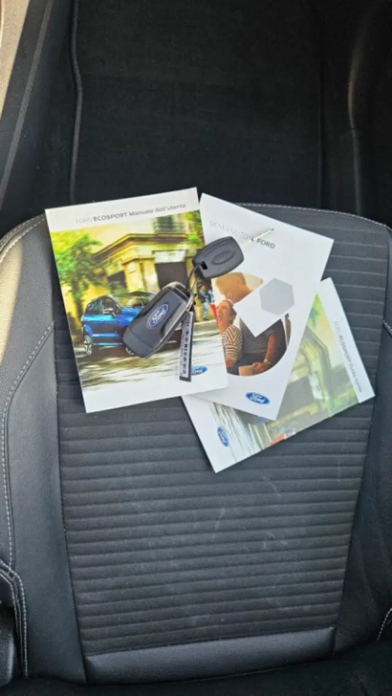 Ford EcoSport usata a Lucca (8)