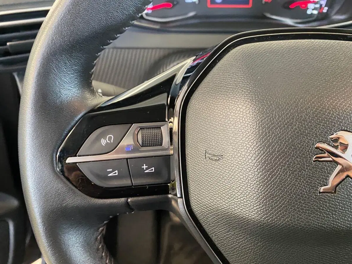 Peugeot 208 usata a Torino (13)