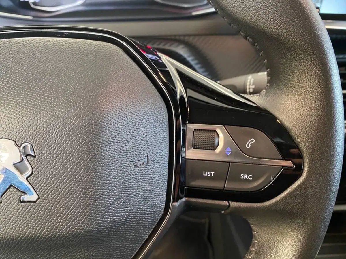 Peugeot 208 usata a Torino (14)
