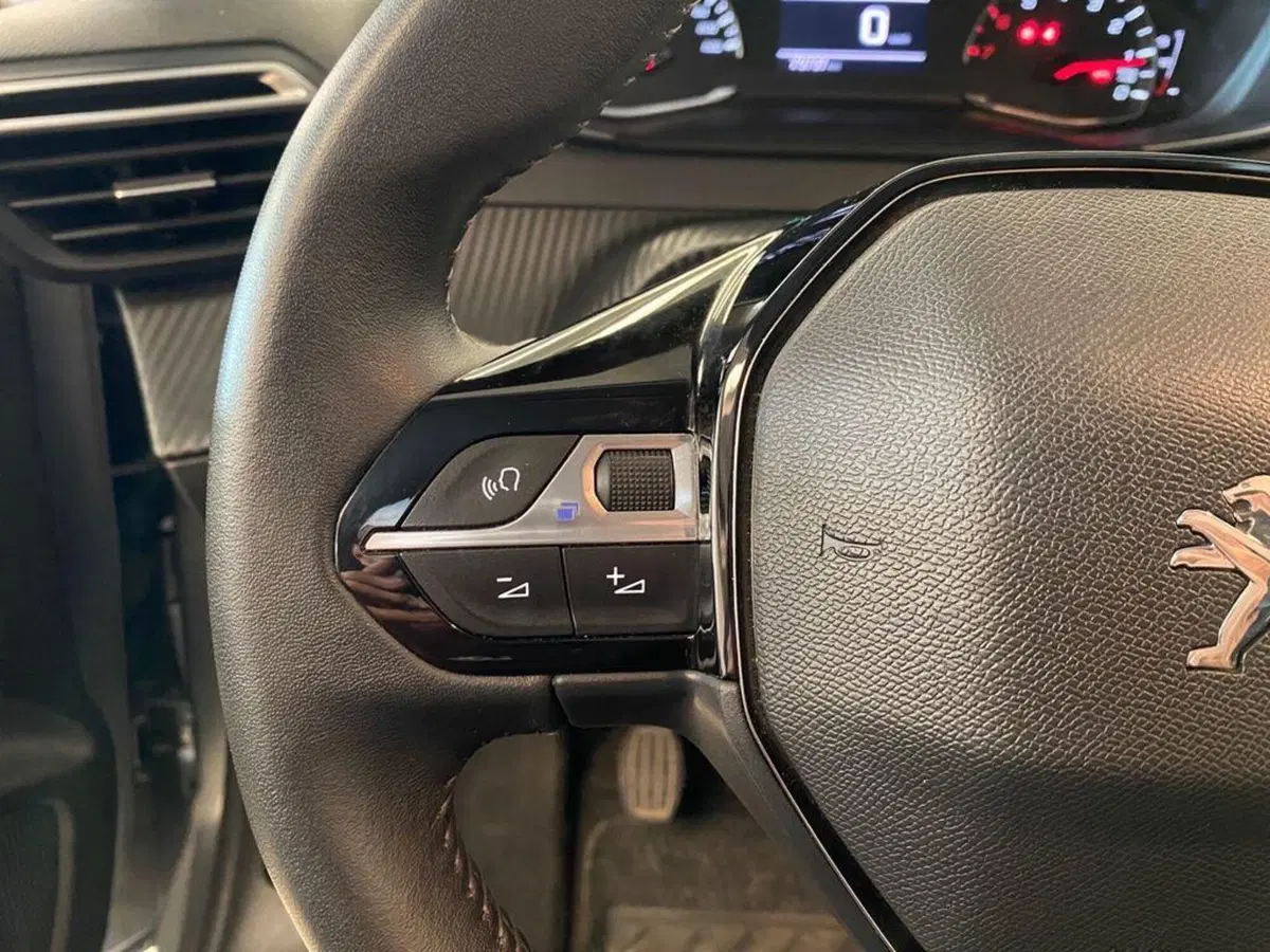 Peugeot 208 usata a Torino (13)