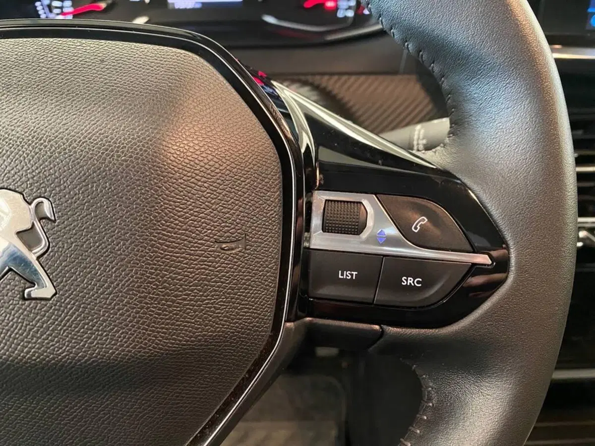 Peugeot 208 usata a Torino (14)