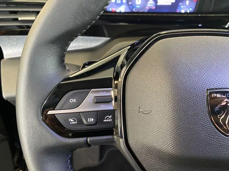 Peugeot 308 usata a Torino (13)