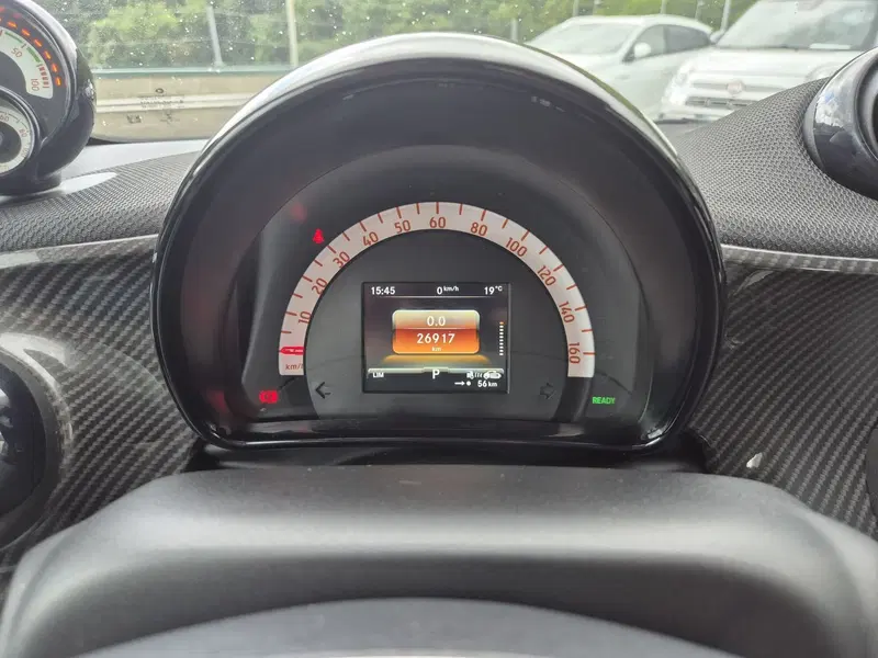 smart Fortwo usata  (11)