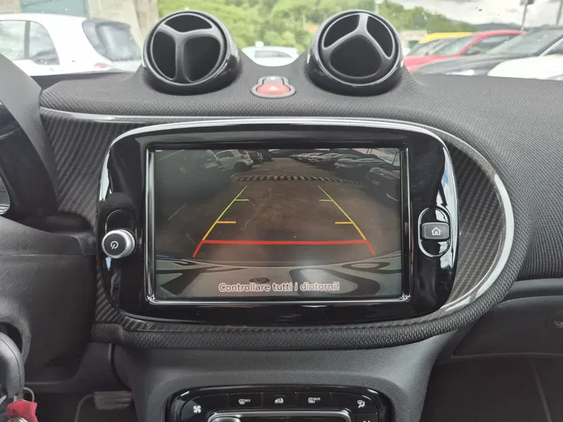 smart Fortwo usata  (12)