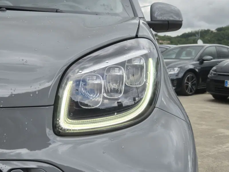 smart Fortwo usata  (14)