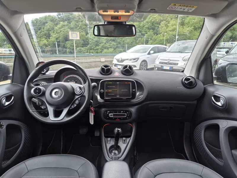 smart Fortwo usata  (6)