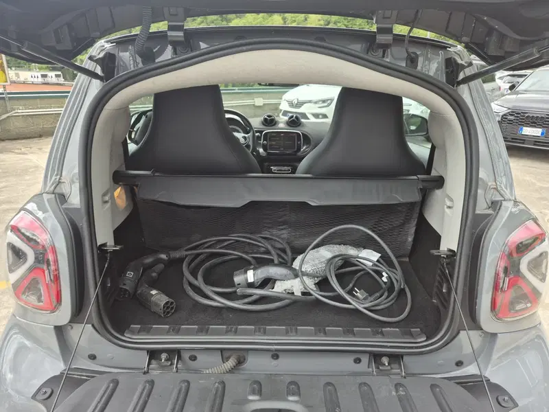 smart Fortwo usata  (9)