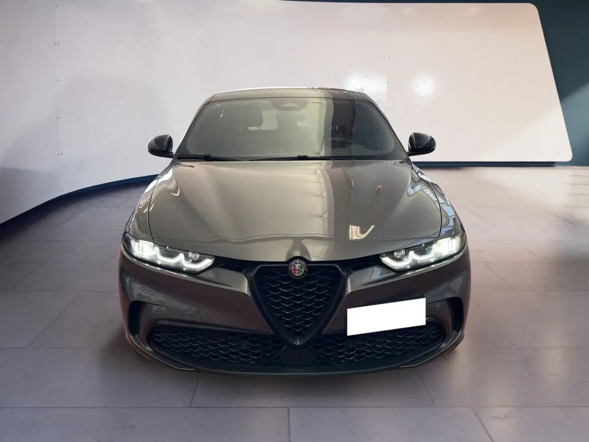 Alfa Romeo Tonale usata a Torino