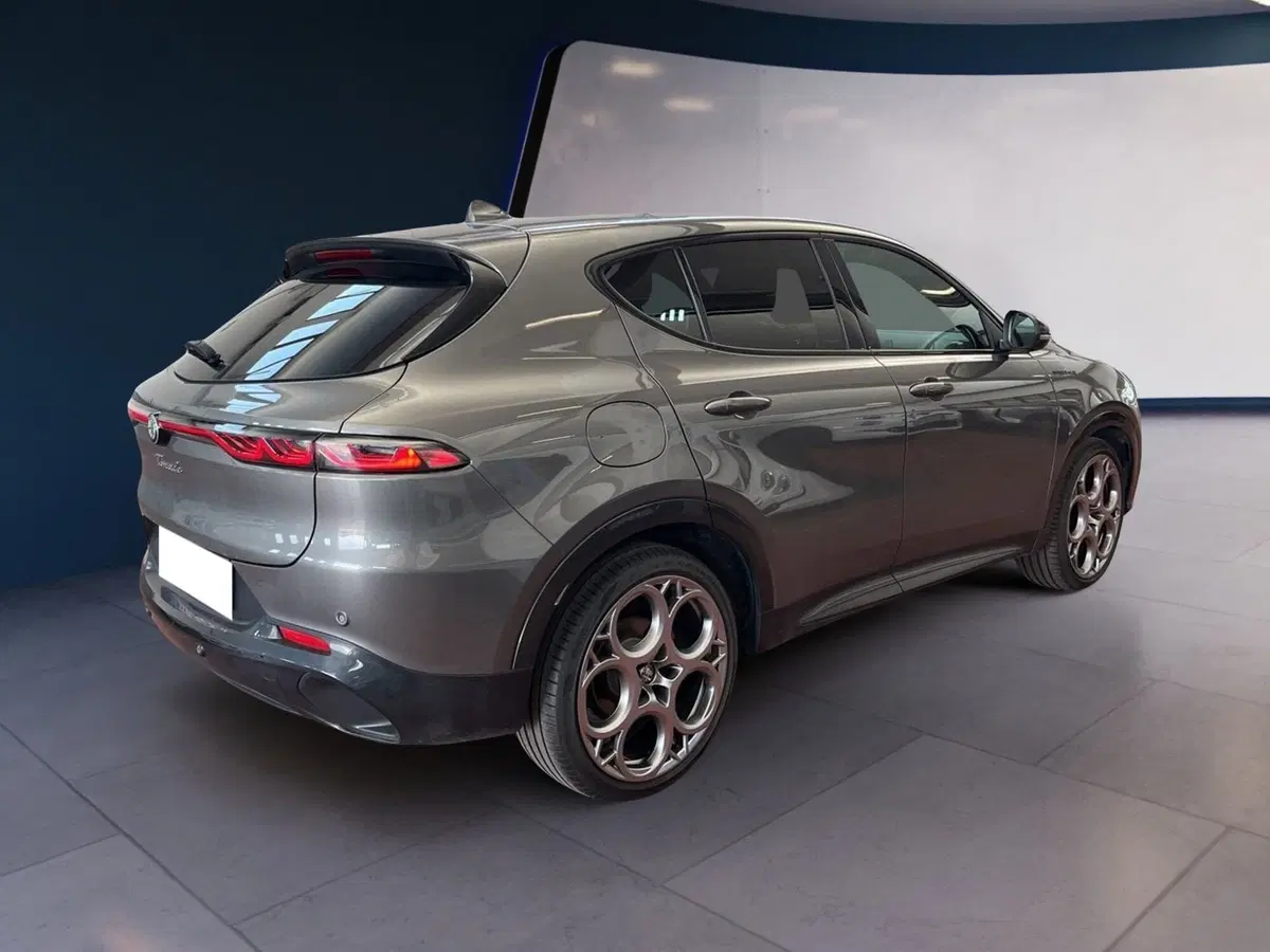 Alfa Romeo Tonale usata a Torino (6)