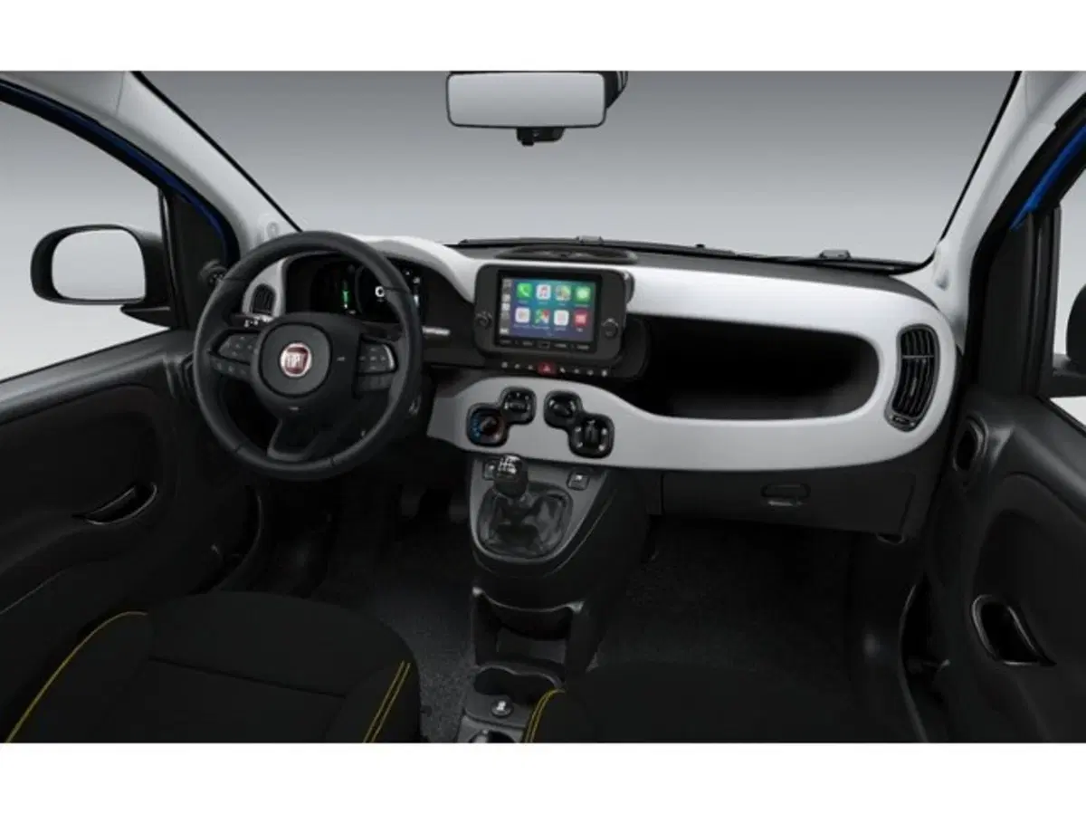 Fiat Pandina nuova a Livorno (4)
