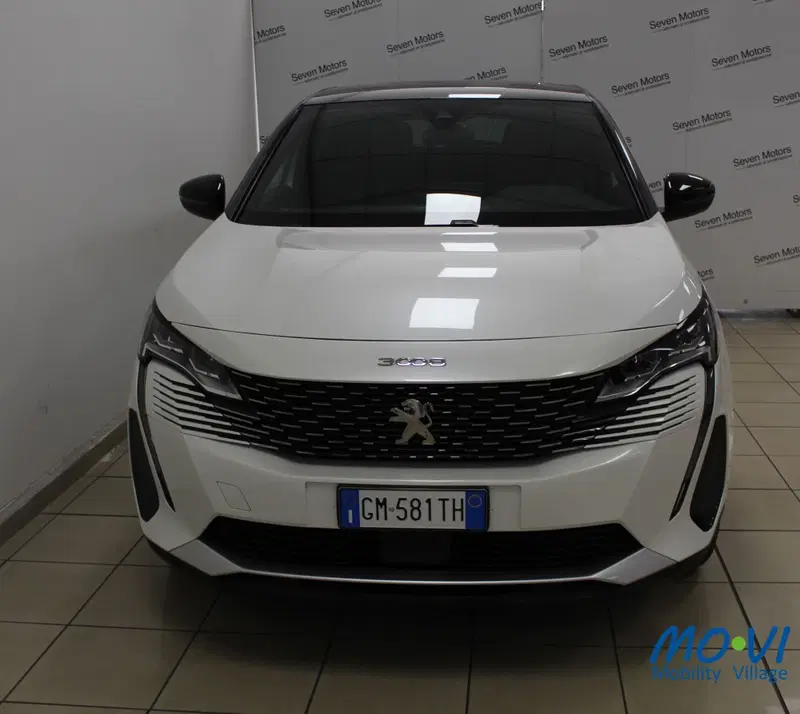 Peugeot 3008 usata a Torino (16)