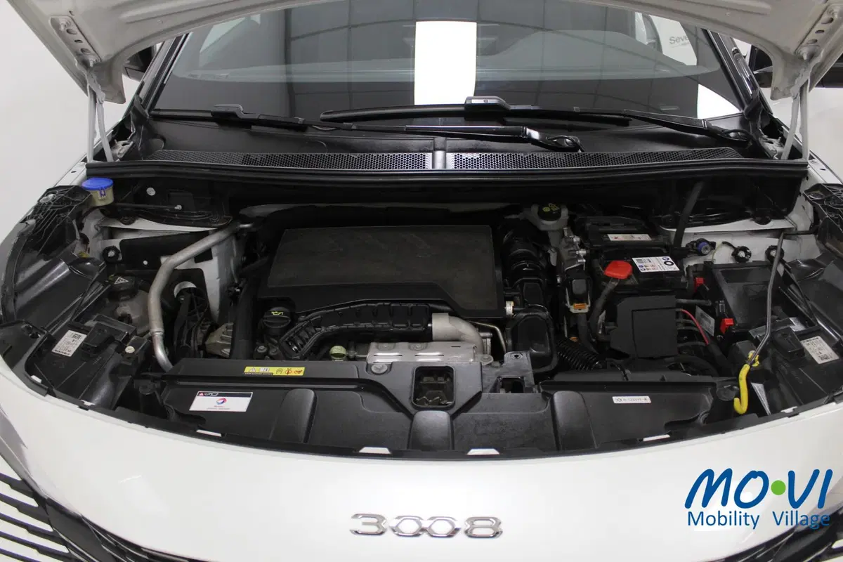 Peugeot 3008 usata a Torino (17)