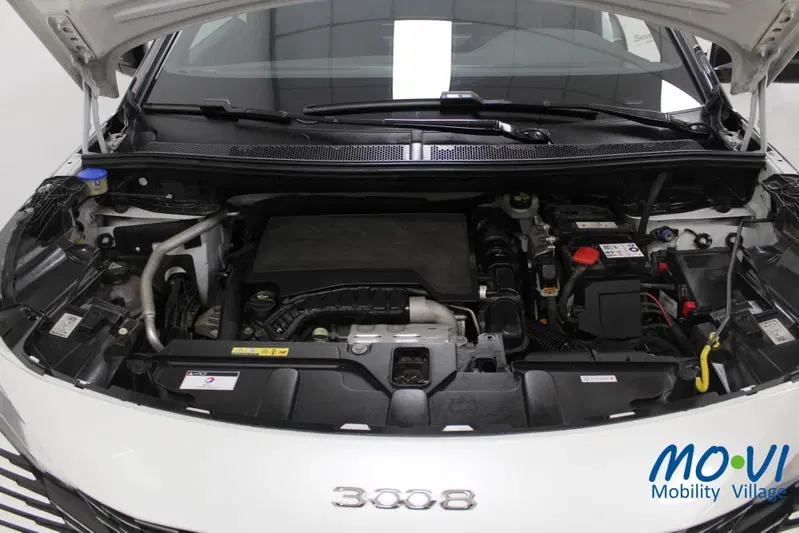 Peugeot 3008 usata a Torino (17)