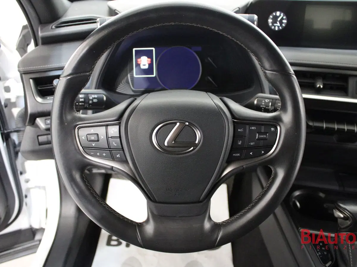 Lexus UX usata a Firenze (11)