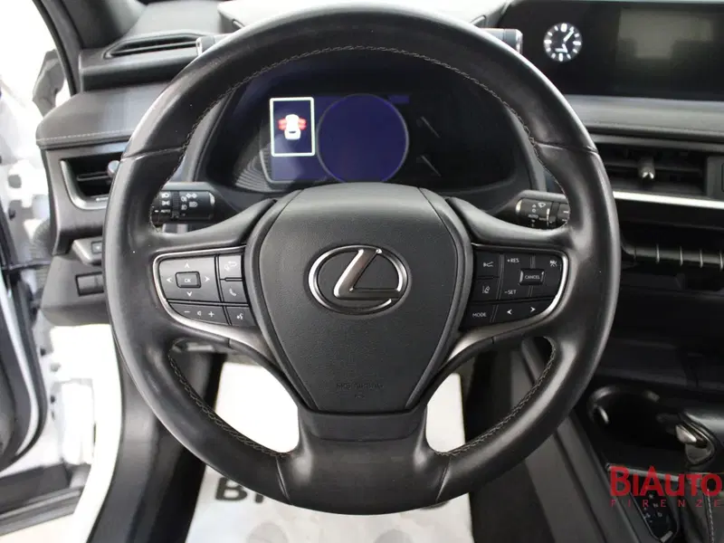 Lexus UX usata a Firenze (11)