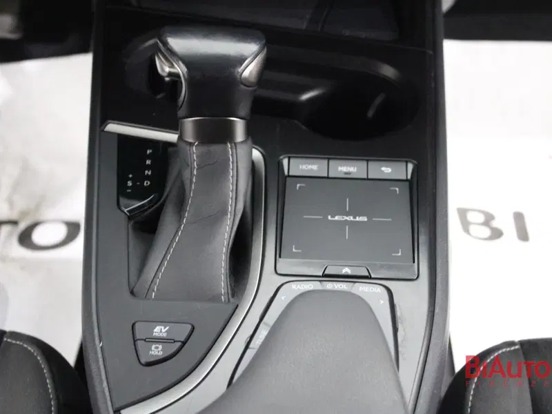 Lexus UX usata a Firenze (16)