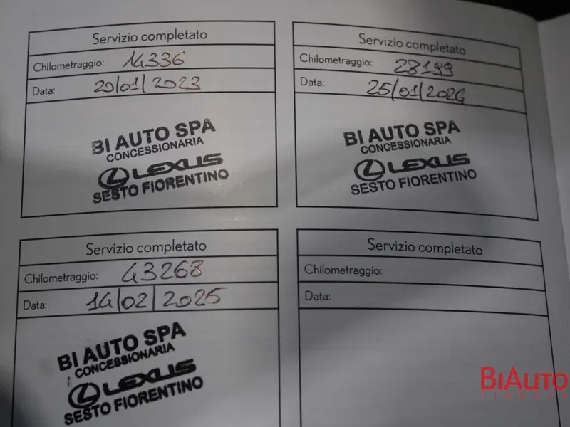 Lexus UX usata a Firenze (17)