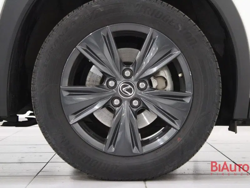 Lexus UX usata a Firenze (18)