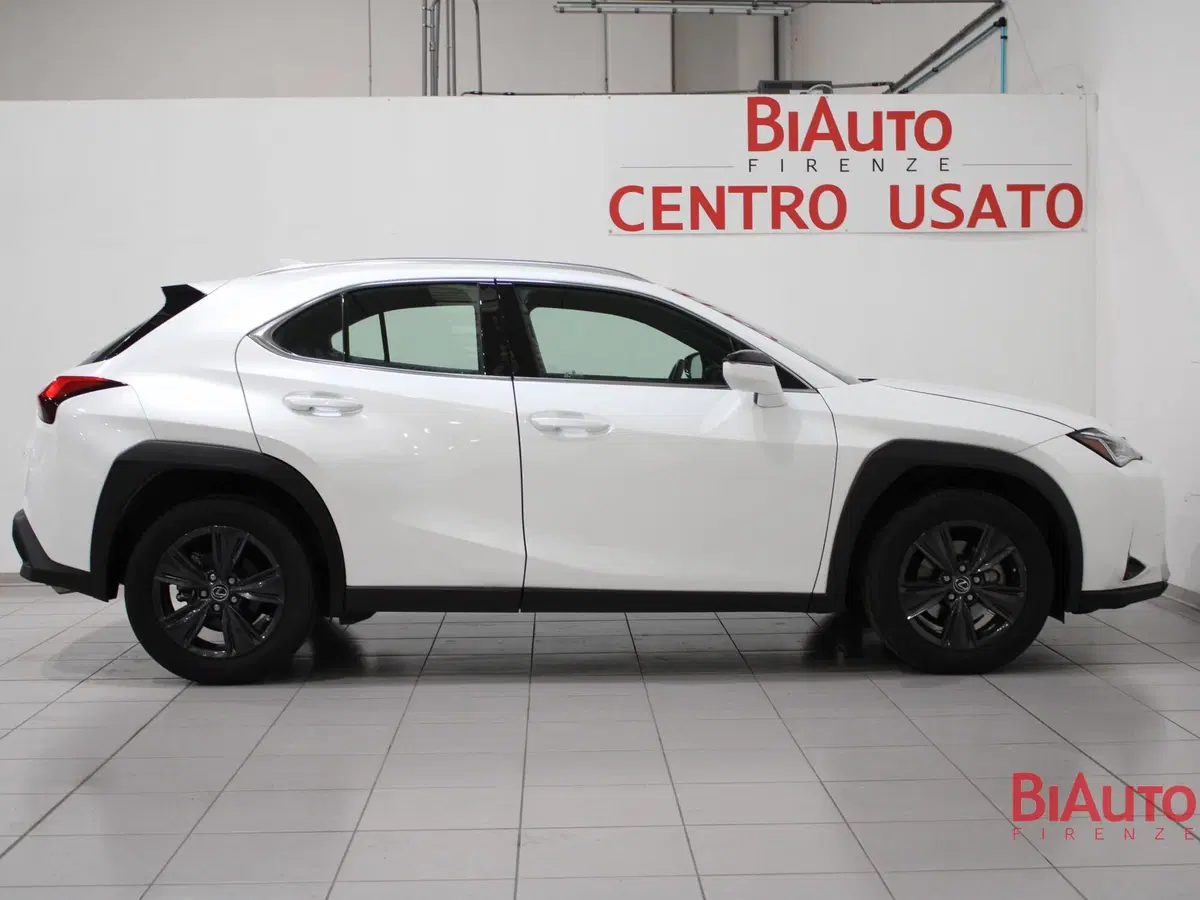 Lexus UX usata a Firenze (19)