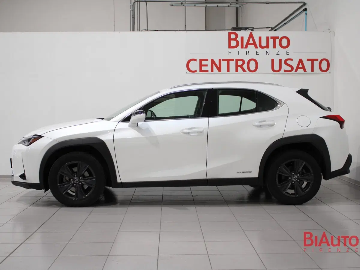 Lexus UX usata a Firenze (20)