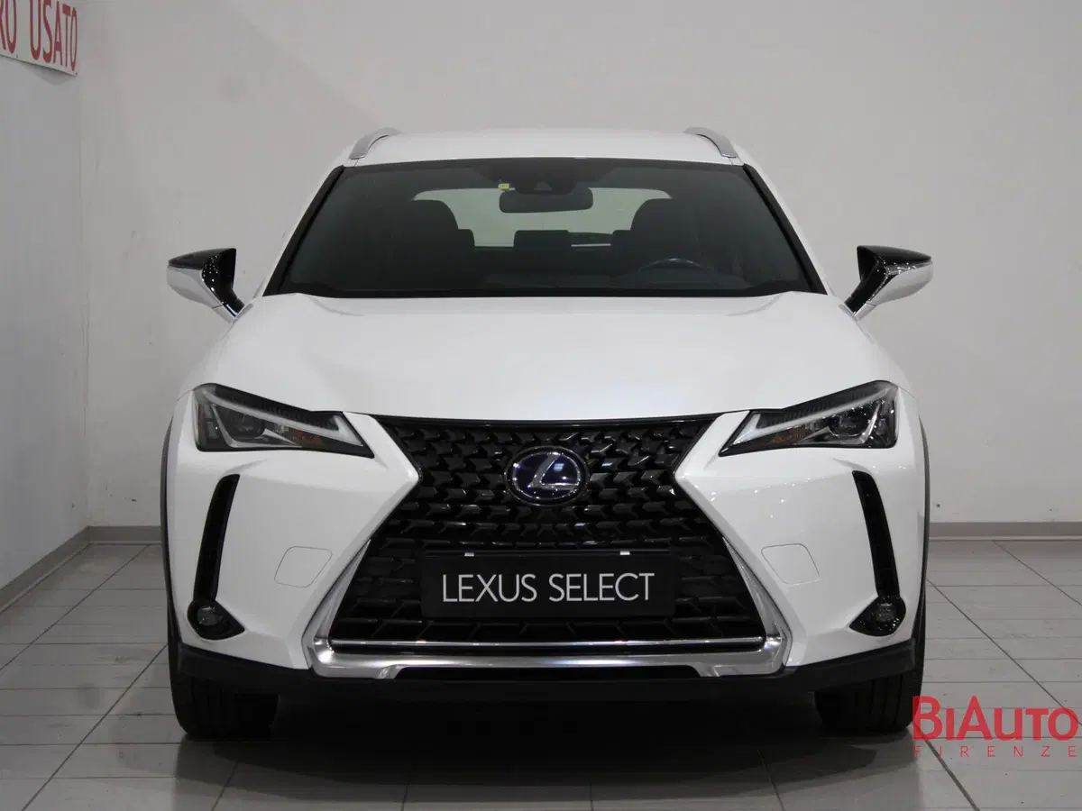 Lexus UX usata a Firenze (4)