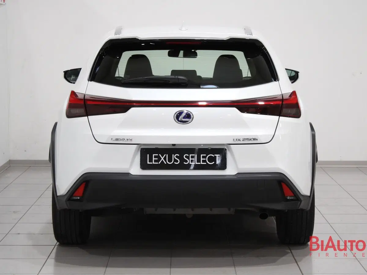 Lexus UX usata a Firenze (5)