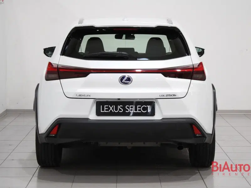 Lexus UX usata a Firenze (5)
