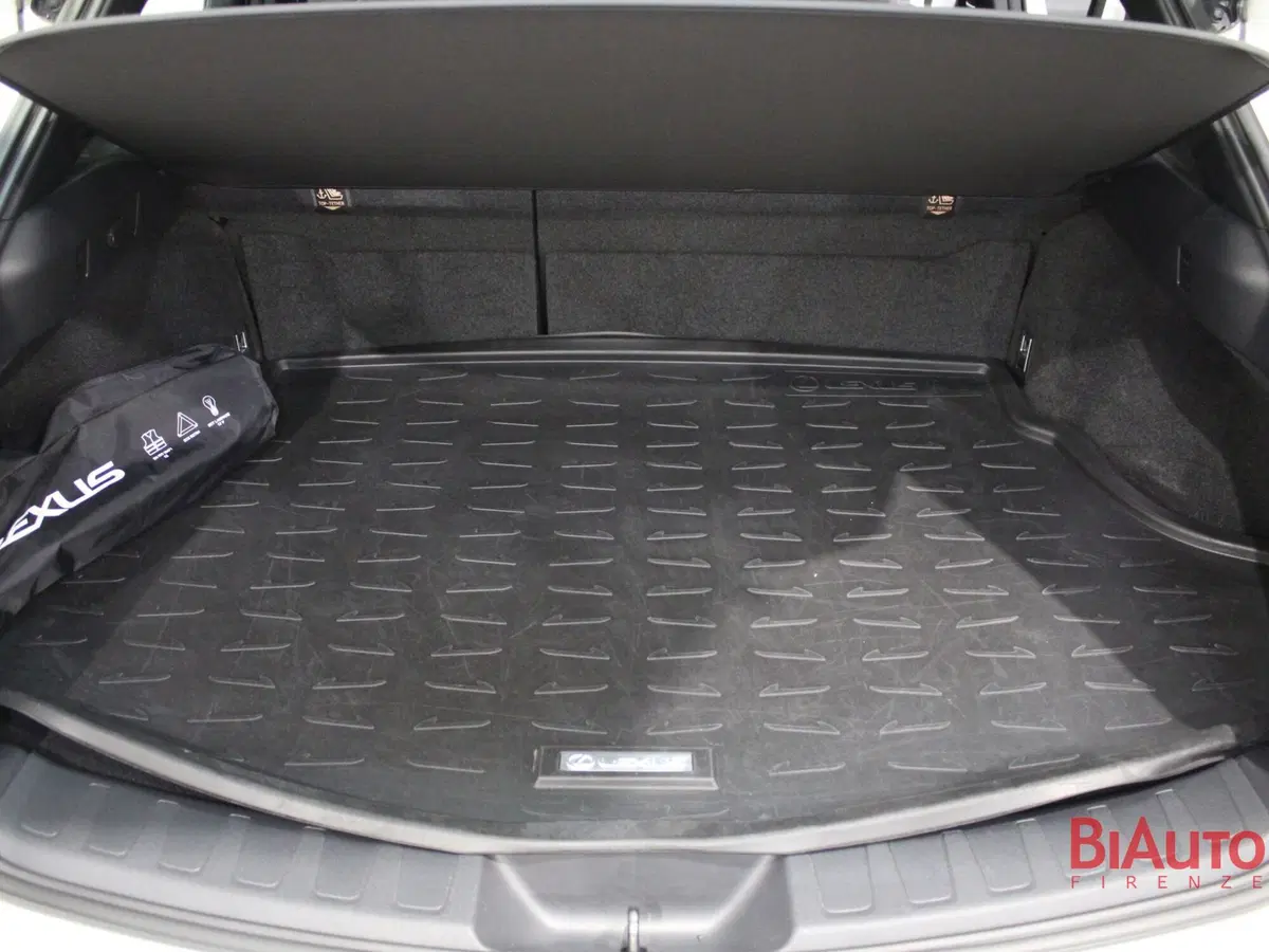 Lexus UX usata a Firenze (9)