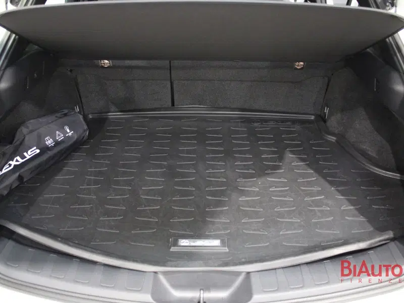 Lexus UX usata a Firenze (9)