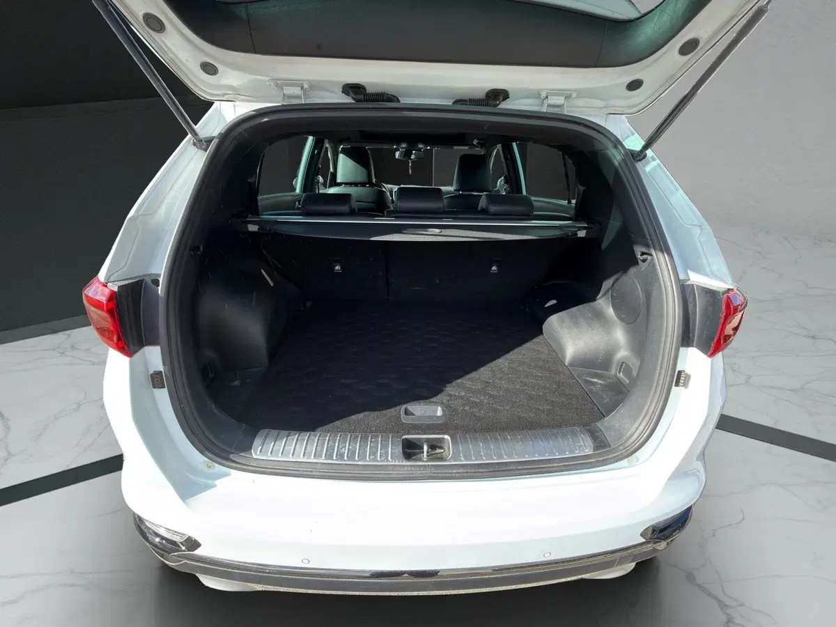 Kia Sportage usata a Cosenza (20)