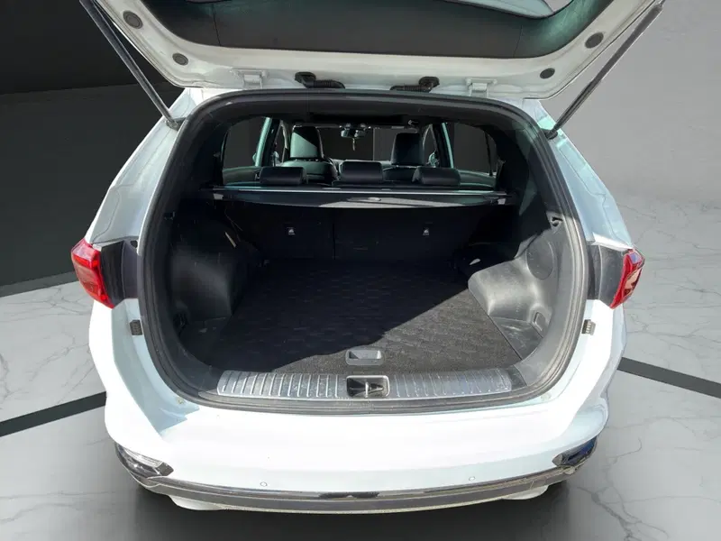 Kia Sportage usata a Cosenza (20)